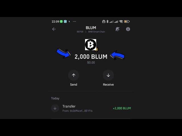 How I Claim FREE 2,000 $BLUM  Token in my Wallet | FREE BLUM