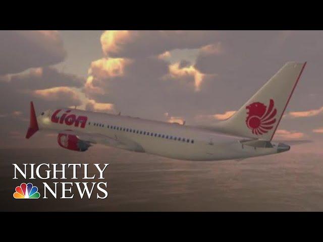 Lion Air Crash Scenario Wasn't Covered In Boeing 737 MAX Manual, Veteran Pilots | NBC Nightly News