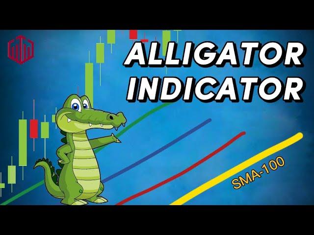 All you need to know | Alligator Indicator | QUOTEX