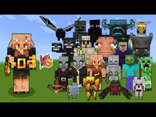 Piglin brute vs Every mob in Minecraft (Java  Edition) - Minecraft 1.19 Piglin brute vs All Mobs