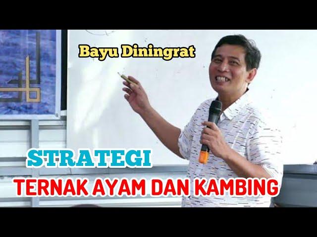 STRATEGI PETERNAKAN AYAM DAN KAMBING #bayudiningrat #bayusehatmandiri #pertanian