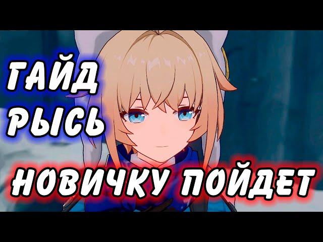 Гайд на Рысь Honkai Star Rail