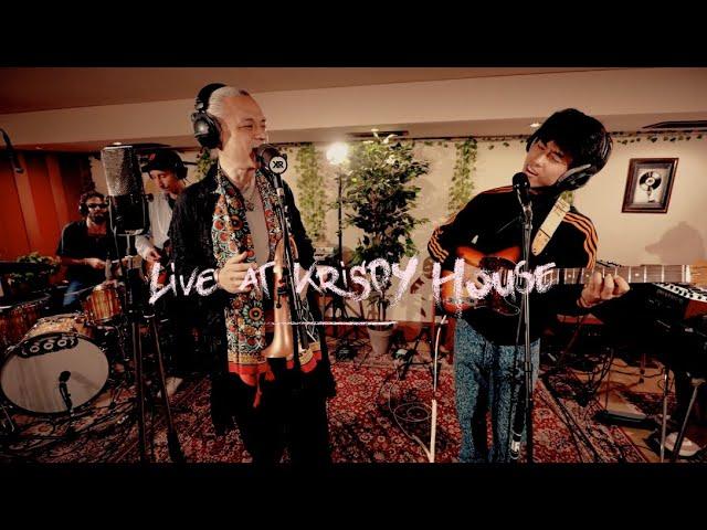 TOKU feat. HIMI "YOU"  Live at Krispy House