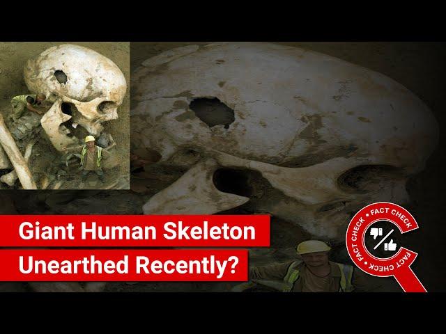 FACT CHECK: Viral Image Shows Giant Human Skeleton Unearthed Recently?