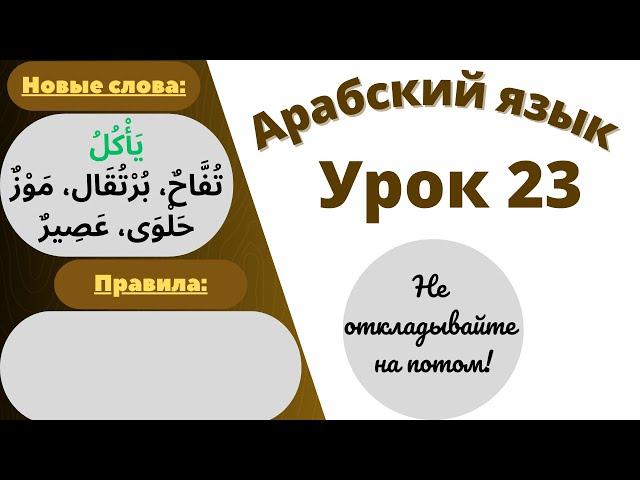 Начните сейчас! Арабский язык для начинающих. Урок 23