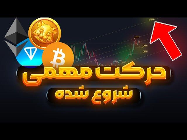 هولدرها حرکت مهمی داره شروع میشه| تحلیل بیت کوین و بازار | همستر | تون کوین