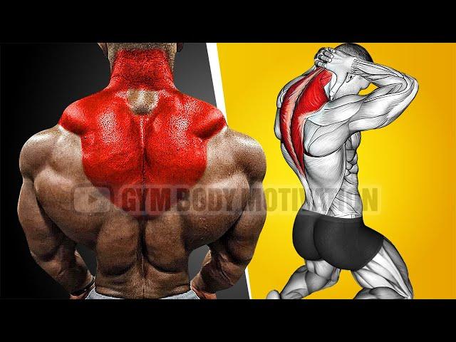 5 Best Traps Exercises for Growth