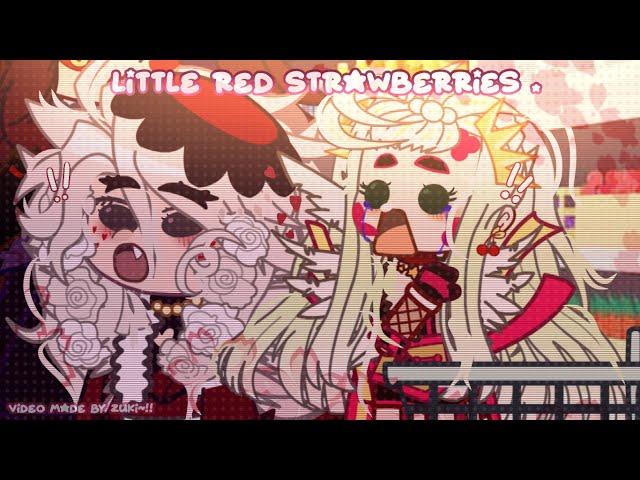 : {KNY-GSI}: Little Red Strawberries . || GC/GN Skit || Zuki .||