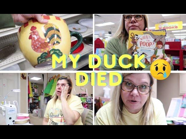 Lets thrift together! ~ My duck died ~ More!