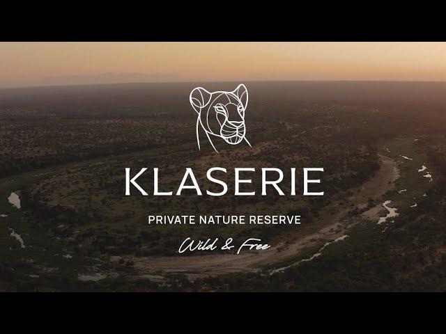 A Wild & Free Experience | Klaserie Private Nature Reserve