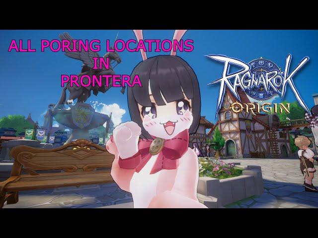 All Poring location in Prontera | Ragnarok Origin Global