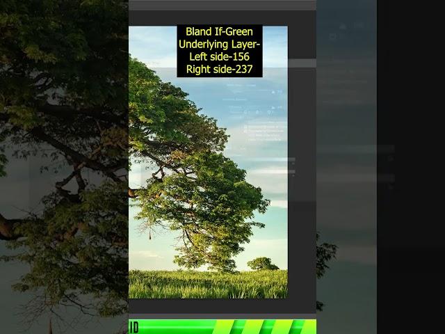 Photoshop Trick 2025  - How to Blending Text to Tree Background #creative #shorts