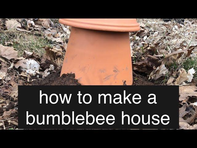 how to build a bumble bee house | the importance of native pollinators