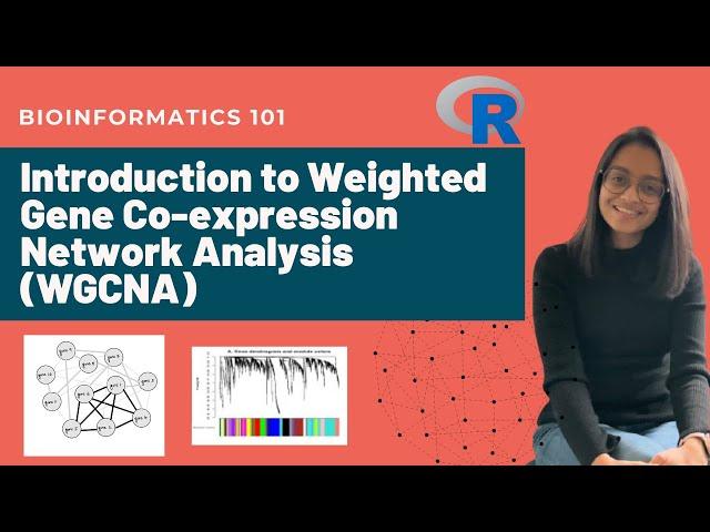 Introduction to Weighted Gene Co-expression Network Analysis (WGCNA) | Bioinformatics 101