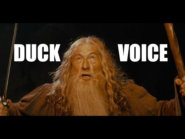 Duck Voice - You Shall Not Pass