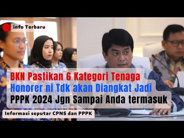 BKN Pastikan 6 Kategori Tenaga Honorer ni Tdk akan Diangkat Jadi PPPK  2024 Jgn Sampai Anda termasuk