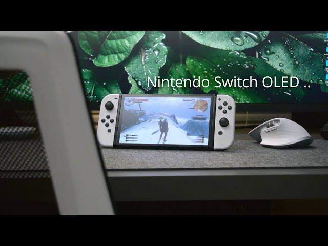 7 Bulan Bersama Nintendo Switch OLED - mari kita BAHAS SUKA & DUKA nya ..