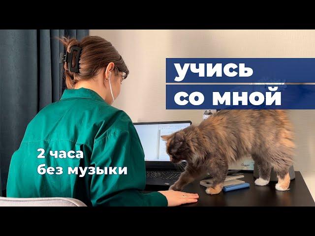 STUDY WITH ME | учись со мной 2 часа, без музыки, 25/5 pomodoro | готовлюсь к IELTS