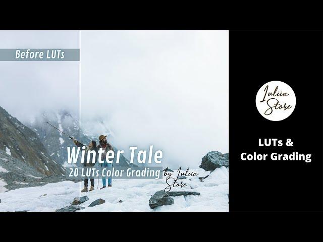 Color Grading Winter Tale LUTs for Final Cut Pro, Affinity Photo, Premiere Pro, FREE mobile VN