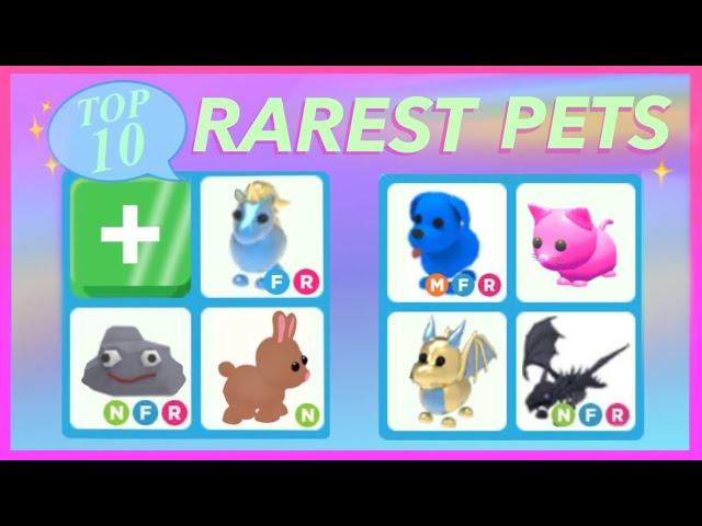 Top 10 Rarest pets in Adopt Me!