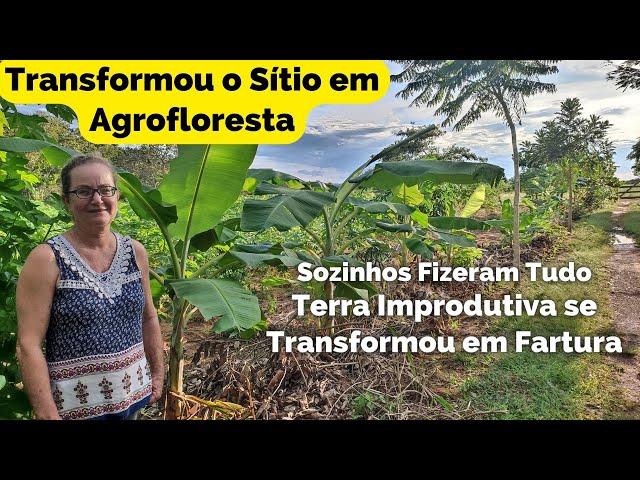 Agrofloresta da Aide. Sozinha Transformou um sítio Improdutivo em Floresta com Fartura de Alimentos