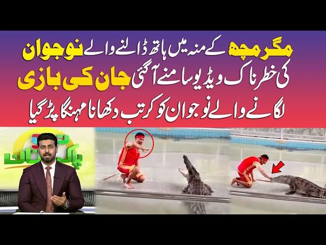 Dangerous Incident Happens | Crocodile Attack on a Boy During Live Show | Neo News