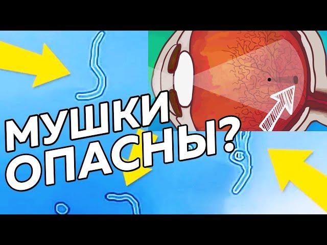 Мушки перед глазами. Почему возникают?Опасно ли это?