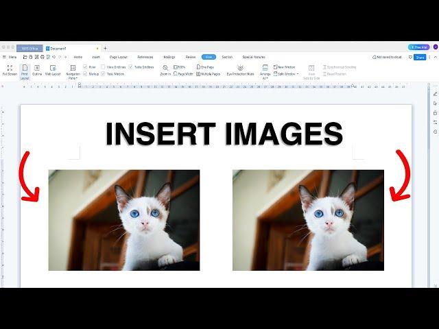 How to Insert Image in LibreOffice - Writer