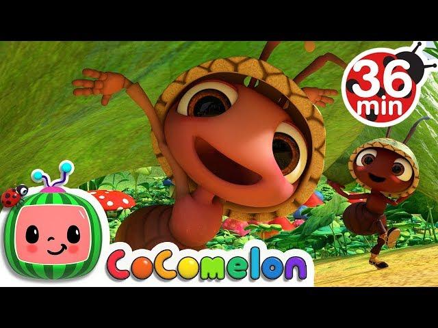 Ants Go Marching + More Nursery Rhymes & Kids Songs - CoComelon