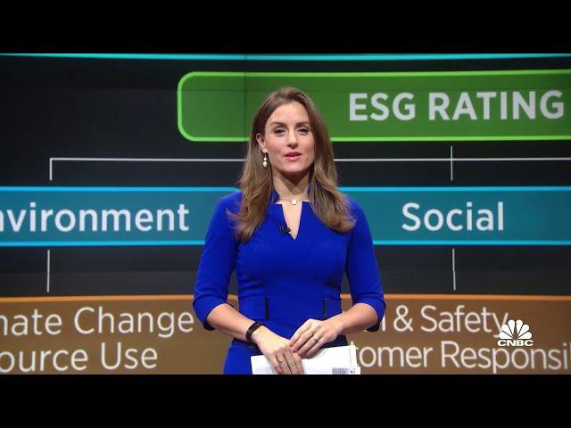 How to decipher ESG ratings among agencies