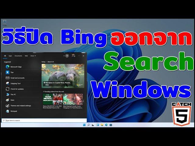 วิธีปิด Bing ออกจาก Search ใน Windows 11 #catch5  #windows11