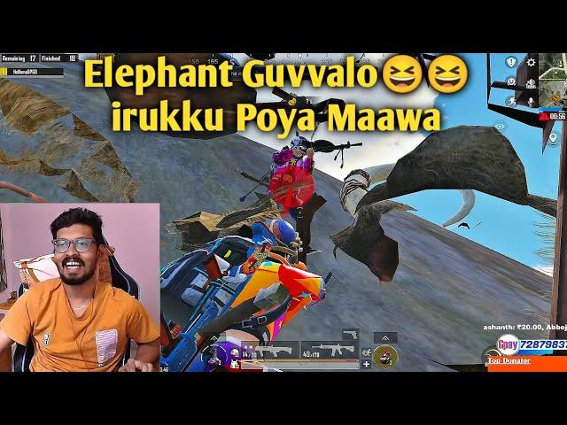 Vere Level Funny Elephant Glitch in PUBG Mobile