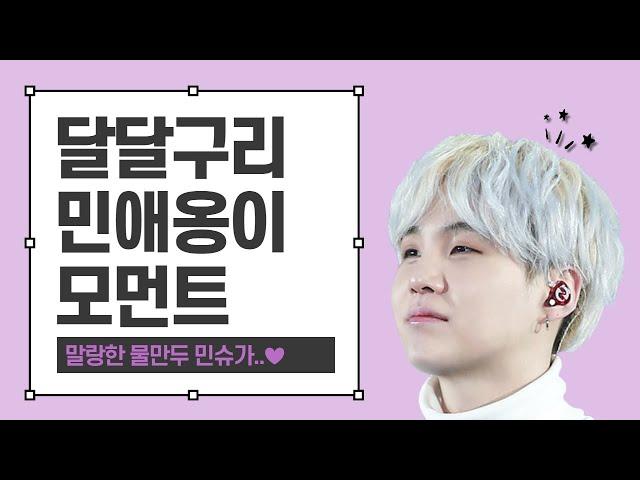 [방탄소년단/슈가] 달달구리 민애옹이 모먼트