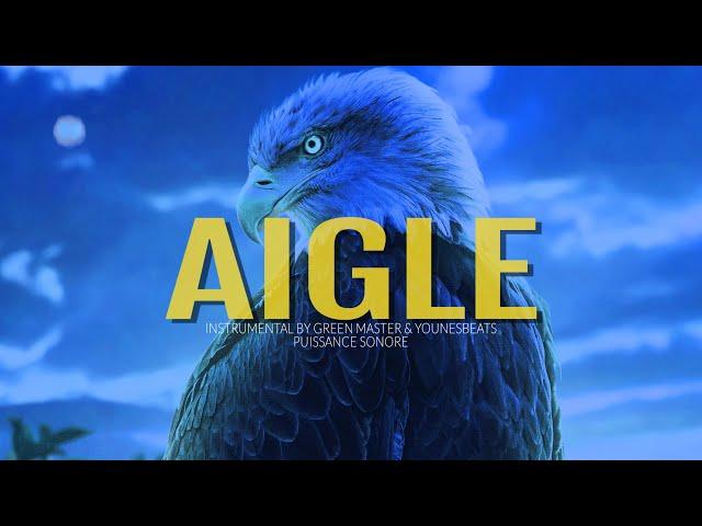 [Free] PNL x Melodic Cloud Type Beat "Aigle" Instru Trap Melodieuse Instrumental Chill 2023