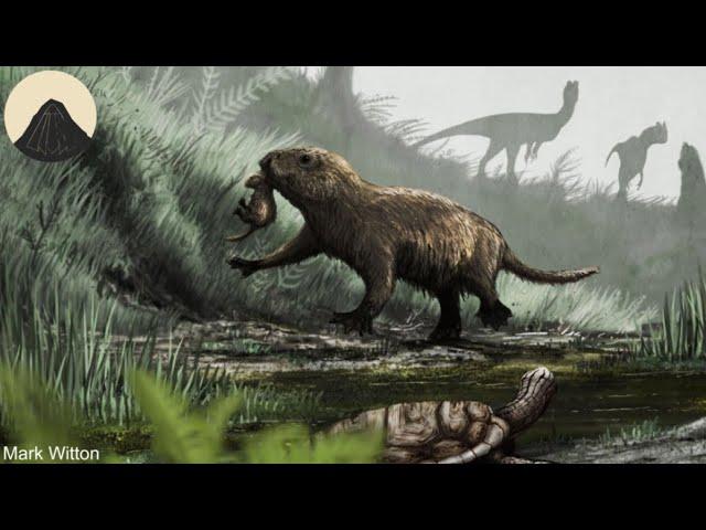 Evolution of Live birth (Why do mammal not lay eggs?)