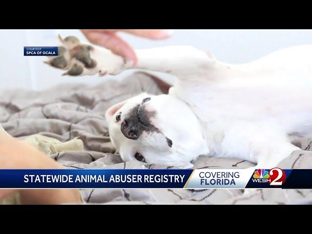 Florida to consider statewide 'animal abuser registry' following Molly's Law in Marion County