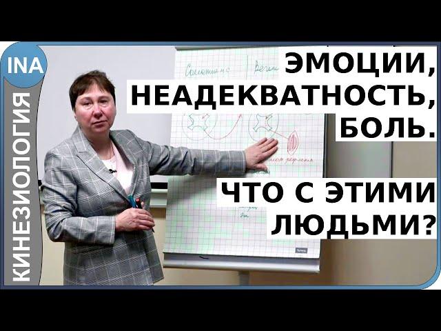 Эмоции. Фобии и страхи. Ненависть и злость. Что с людьми? Л.Ф.Васильева. Кинезиология