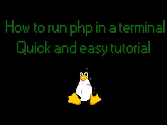 How to run a php script in a terminal