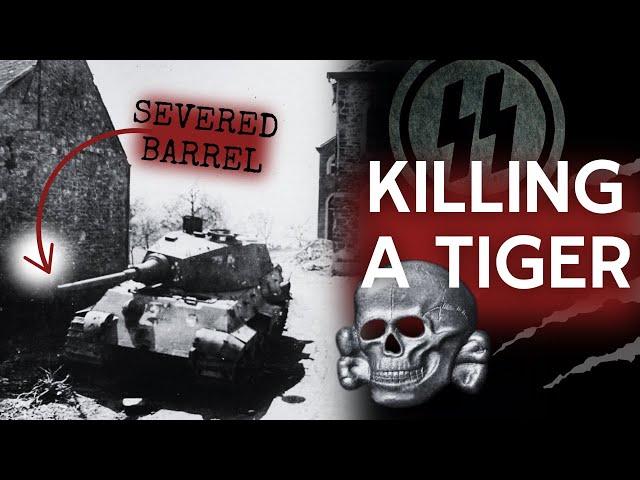 Battle Of The Bulge - The Last Stand of King Tiger 213