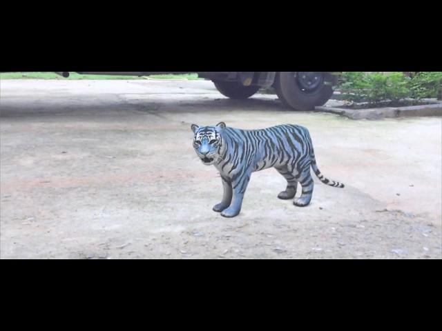 Ever Seen A Blue Tiger ? Maltese tiger CG