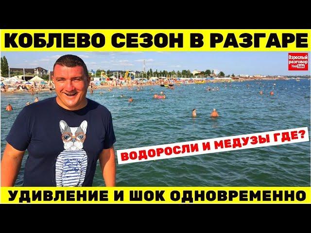 Коблево 2021 Разгар сезона / Смотрим: море, водоросли, медуз, кукурузу и прочие ништяки 24.07.21