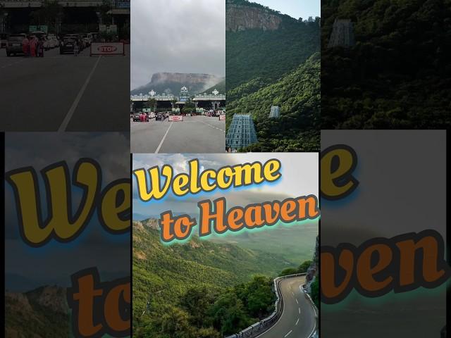 Welcome to Heaven on Earth #shorts #youtubeshorts #god #nature  #mountains #tirumala #subscribe