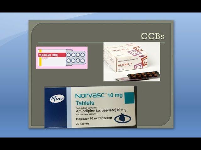 Pharmacology 602 a Calcium Channel blocker CCB Verapamil Nifedipine Amlodipine