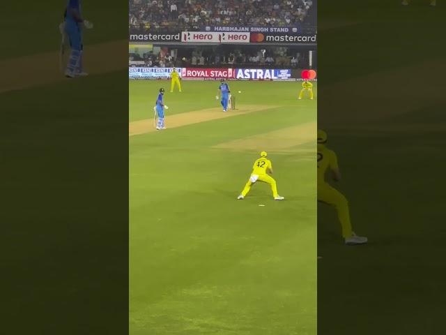 VIRAT KOHLI WICKET | #viral #viratkohli #youtubeshorts #cricketshorts #cricket