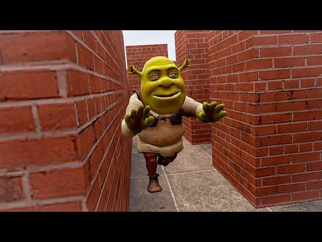 RUNNING FROM THE FASTEST SHREK In MAZE | Garry's Mod