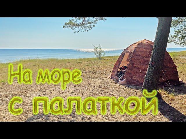 Три ночи в палатке на берегу моря с семьёй и собакой. Отдых на море.