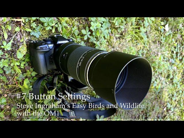 #7 Steve Ingraham’s Easy Birds and Wildlife with the OM-1: Button settings.