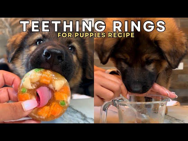 Teething Rings For Puppies Recipe