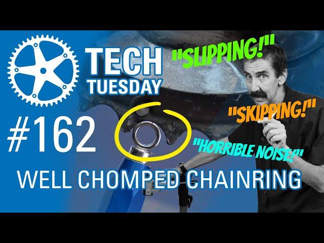 Well Chomped Chainring | Tech Tuesday #162