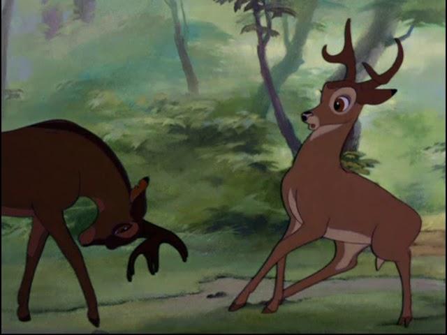 Bambi 大人 ファリーンとの再会